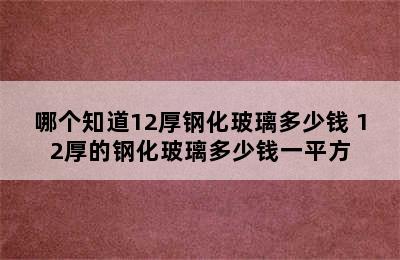 哪个知道12厚钢化玻璃多少钱 12厚的钢化玻璃多少钱一平方